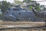 Προσωρινή καθήλωση των Sea King του Ναυτικού της Αυστραλίας