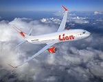 Στη θάλασσα κατέληξε αεροσκάφος της Lion Air