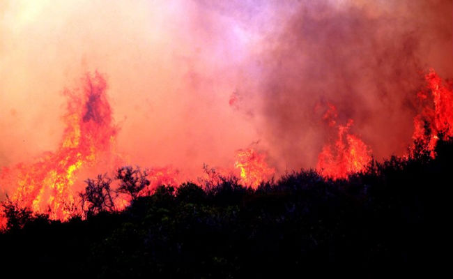 Πύρινη λαίλαπα στο Αλεποχώρι – Καίγεται πευκοδάσος