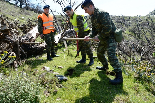 Συμμετοχή προσωπικού της 79 ΑΔΤΕ σε δεντροφύτευση στη Σάμο [εικόνες]