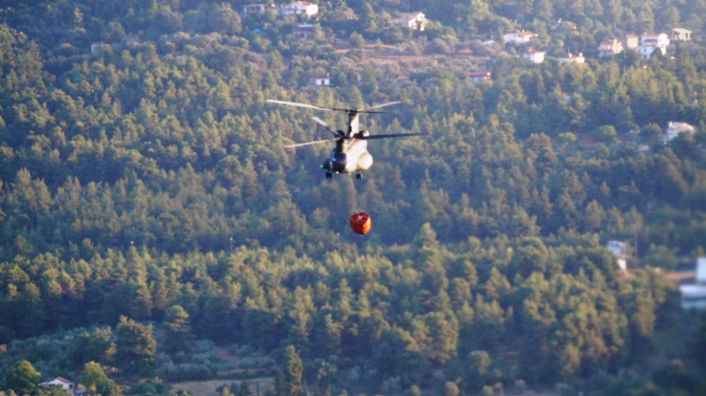 Συνεισφορά Στρατού Ξηράς στην αντιμετώπιση των πρόσφατων πυρκαγιών [εικόνες]