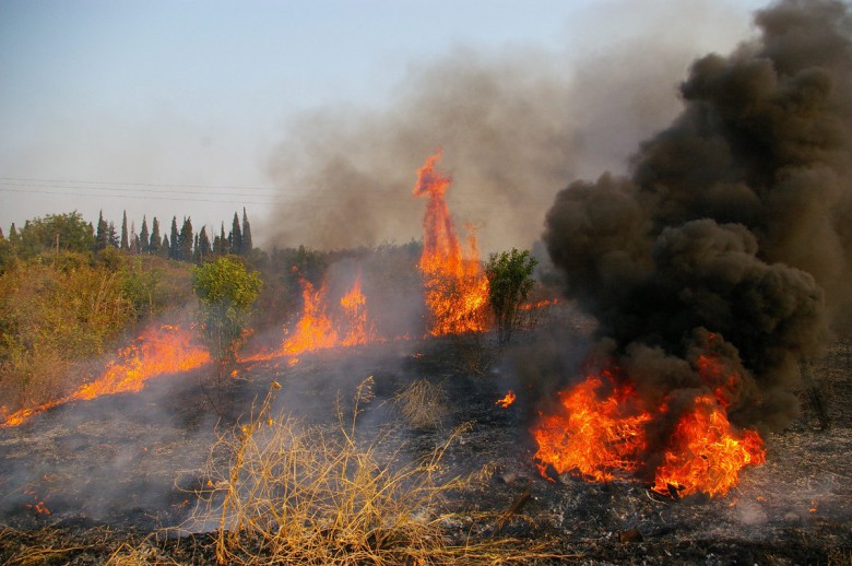 Φωτιά και στις Κεχριές Κορινθίας