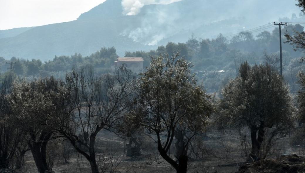 Ζάκυνθος και Λουτράκι: Πάνω από 10.000 στρέμματα η καμένη γη