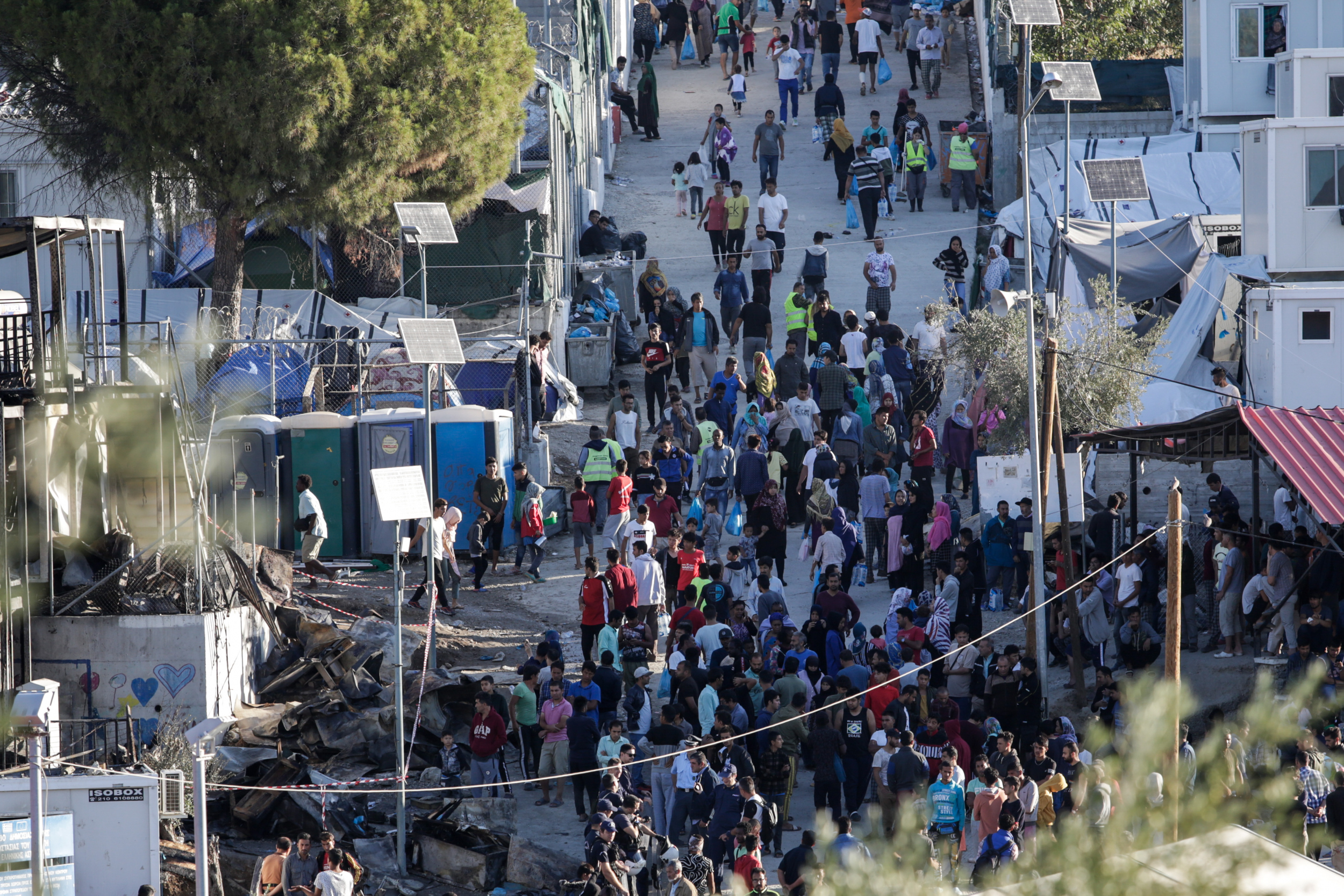 Μόρια: Οι αλλοδαποί λεηλατούν τα ελαιόδεντρα – Ανύπαρκτο το κράτος (βίντεο)