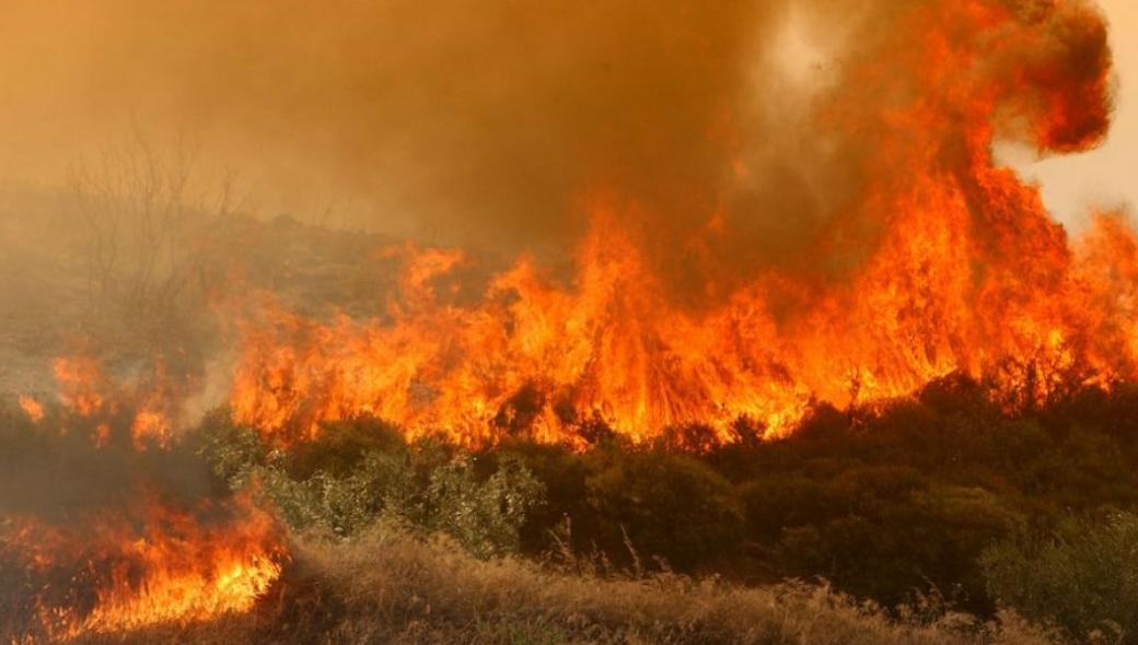 Πυρκαγιά σε δασική έκταση στη Νεμέα