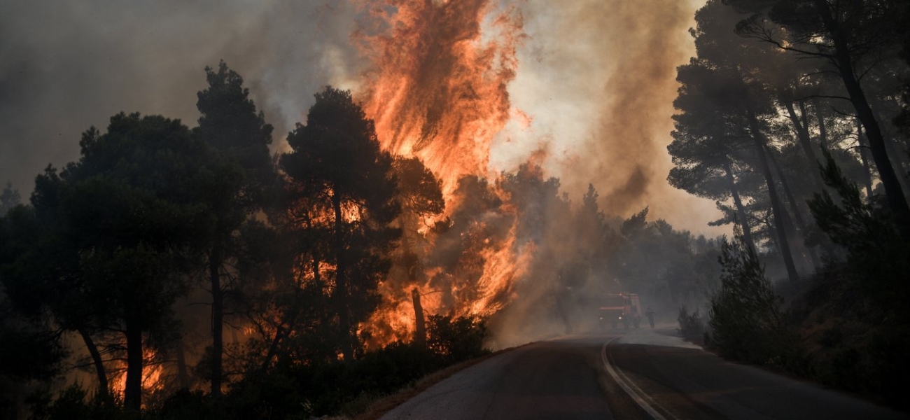 Πυρκαγιά σε δασική έκταση στη Βοιωτία