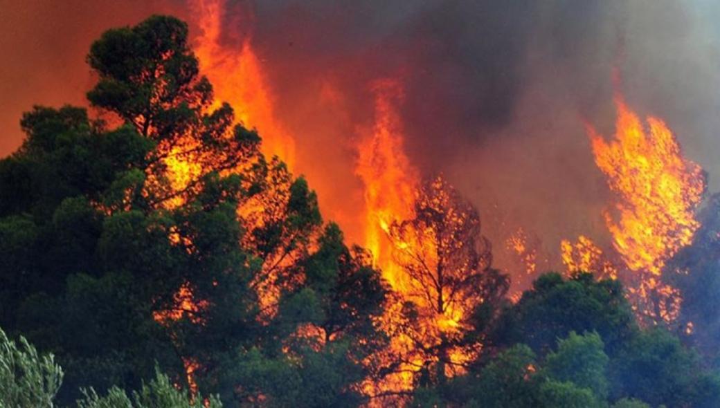 Σε ύφεση η πυρκαγιά στο Άγιον Όρος