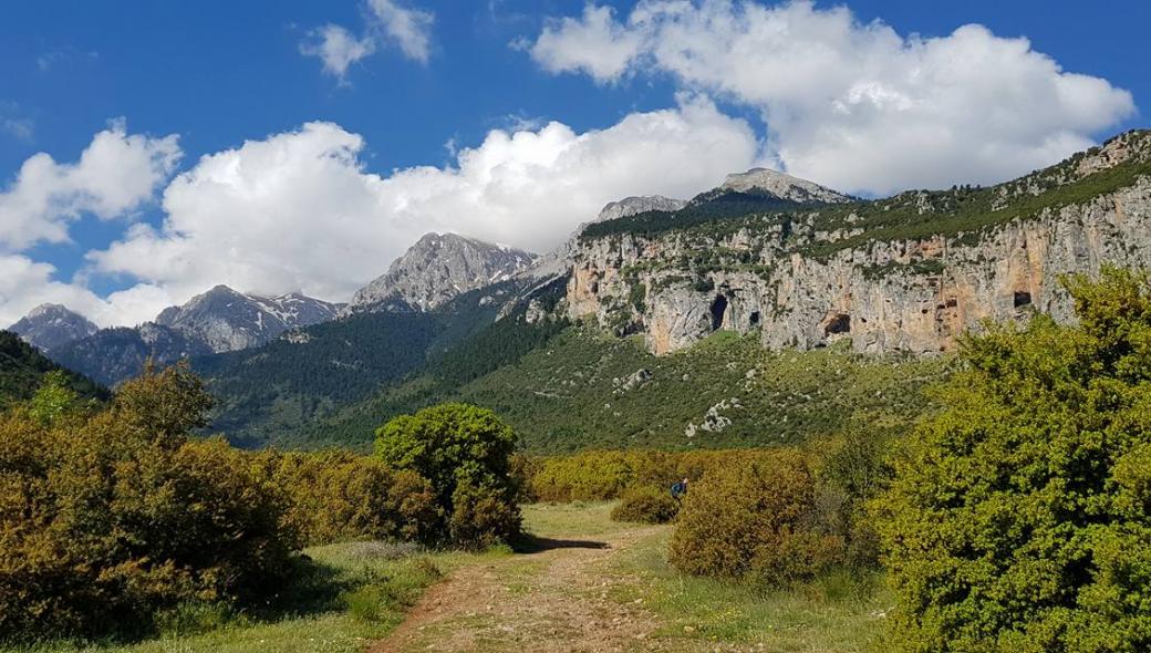 Παρνασσός: Ηλικιωμένος έπεσε σε χαράδρα ενώ μάζευε τσάι