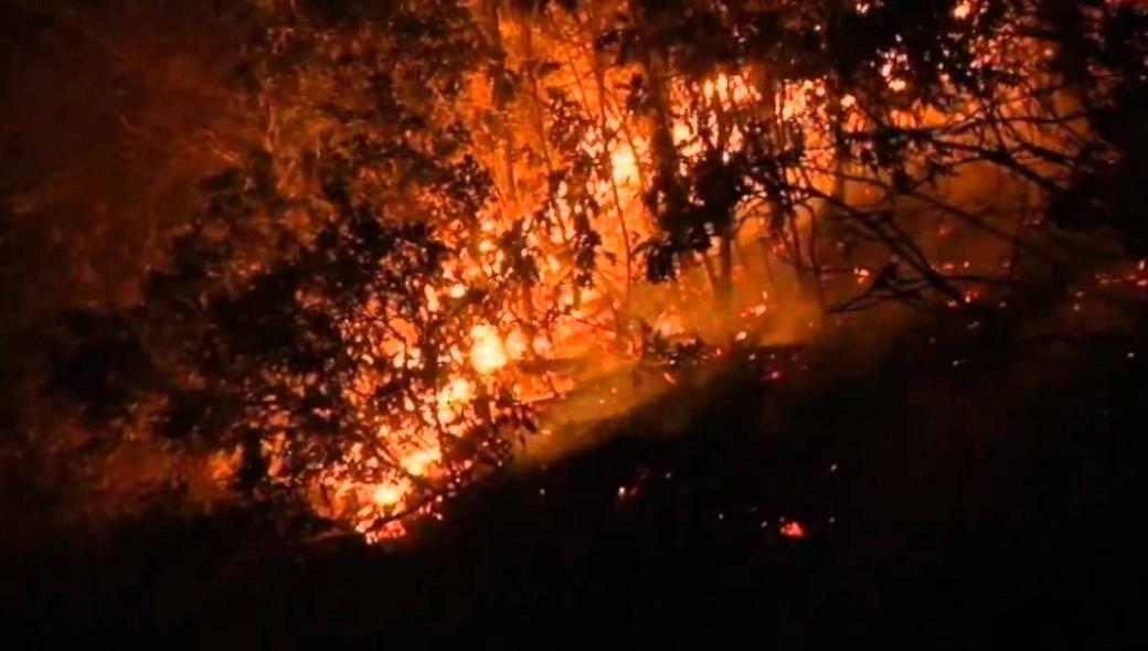 Συρία: Εκτελέστηκαν 24 άτομα υπεύθυνα για εμπρησμούς σε δάση και  καταστροφικές πυρκαγιές