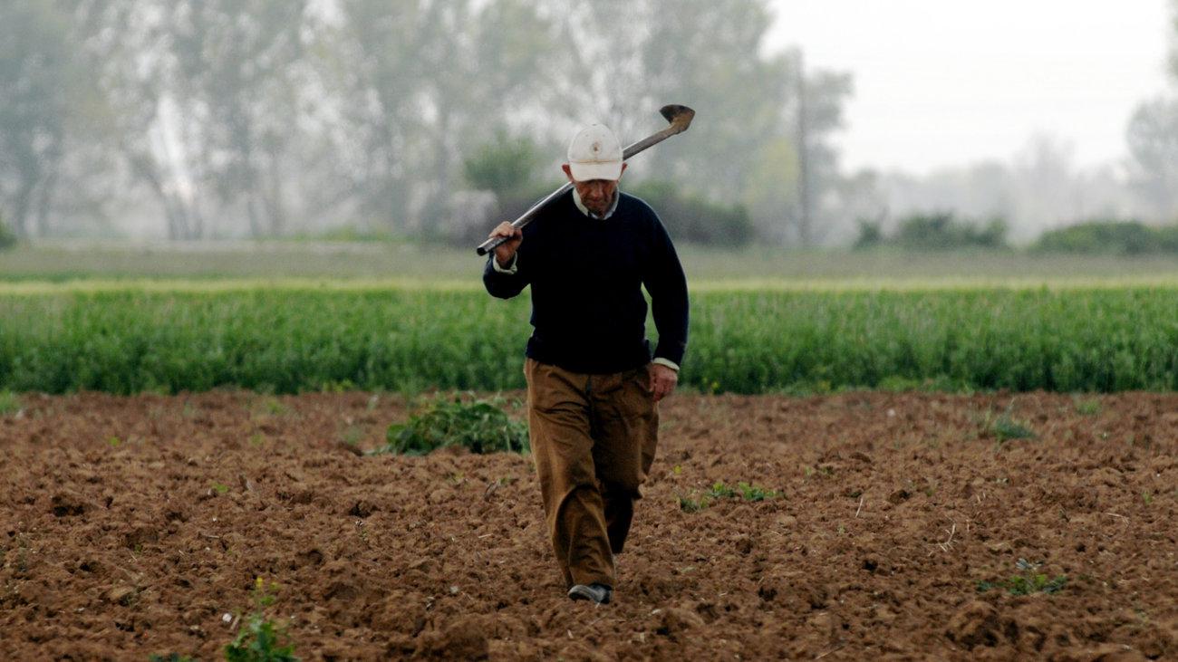 Αγρότης κατά Γεωργιάδη:«Πώς γίνεται να δίνω τις πατάτες μου 0,25€ & ο πολίτης να τις παίρνει 1,10€;»